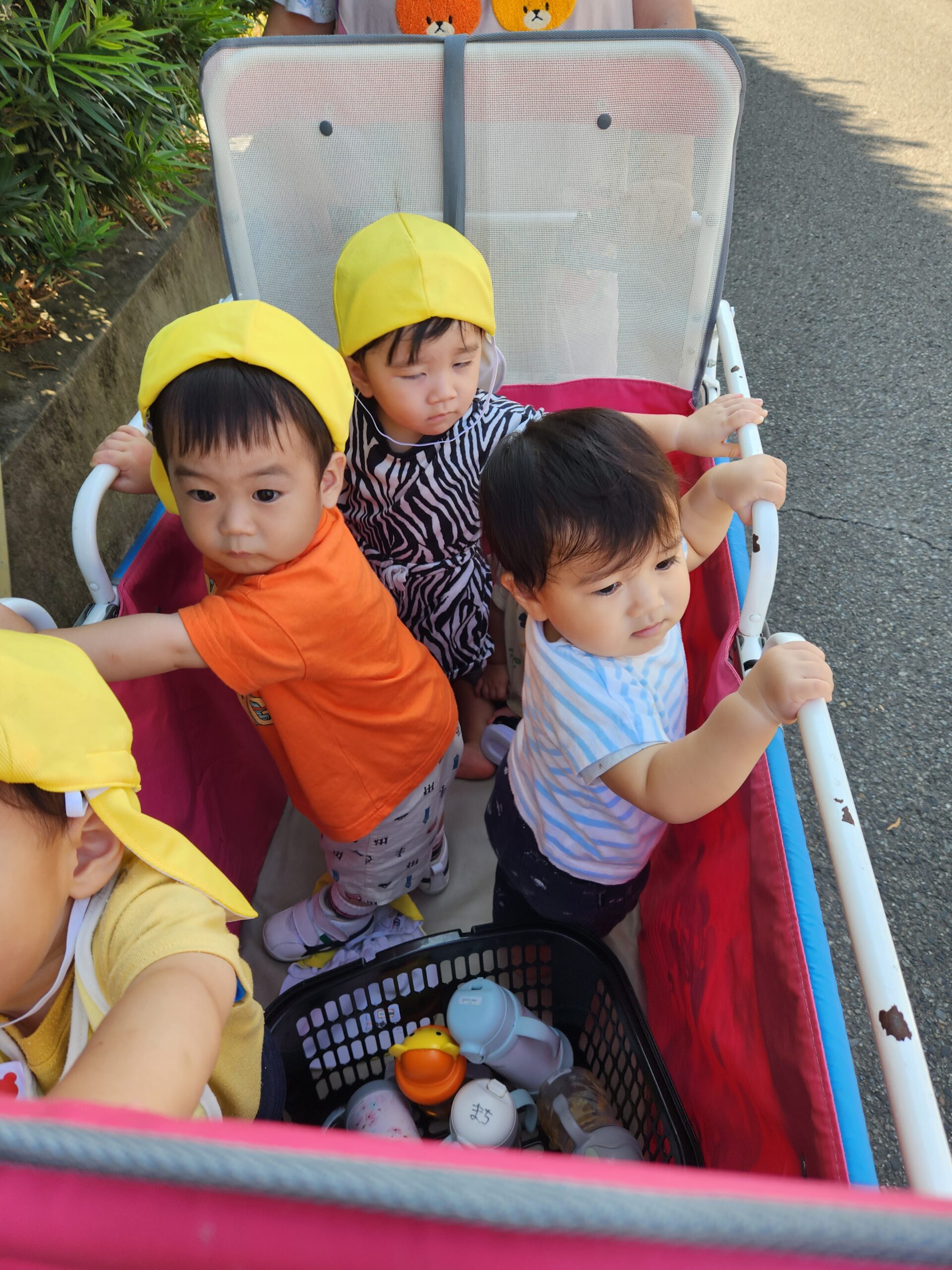 ひよこぐもページ その頑張り だれかが見てるよ🐗🐤 #もふピヨ